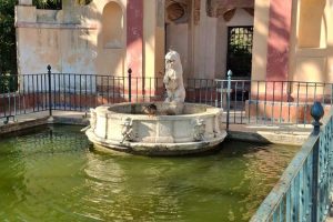 Sorolla 26 feb 2026 (3)